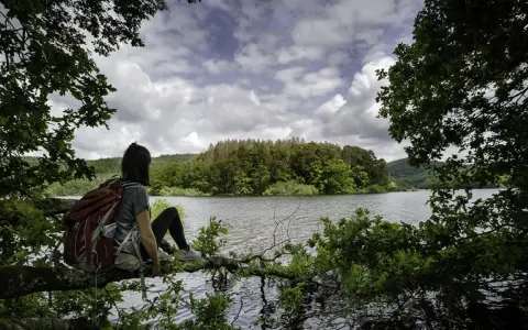 Une randonnée dans le Morvan, une pause sur une branche surplombant le lac. Paysage verdoyant sous un ciel nuageux.