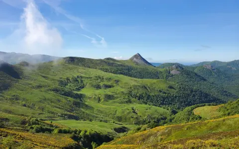 Vastes collines verdoyantes parsemées de fleurs jaunes, dominant la vallée de la Jordanne sous un ciel bleu.