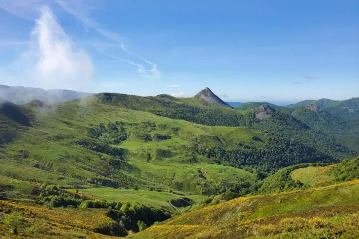 Vastes collines verdoyantes parsemées de fleurs jaunes, dominant la vallée de la Jordanne sous un ciel bleu.