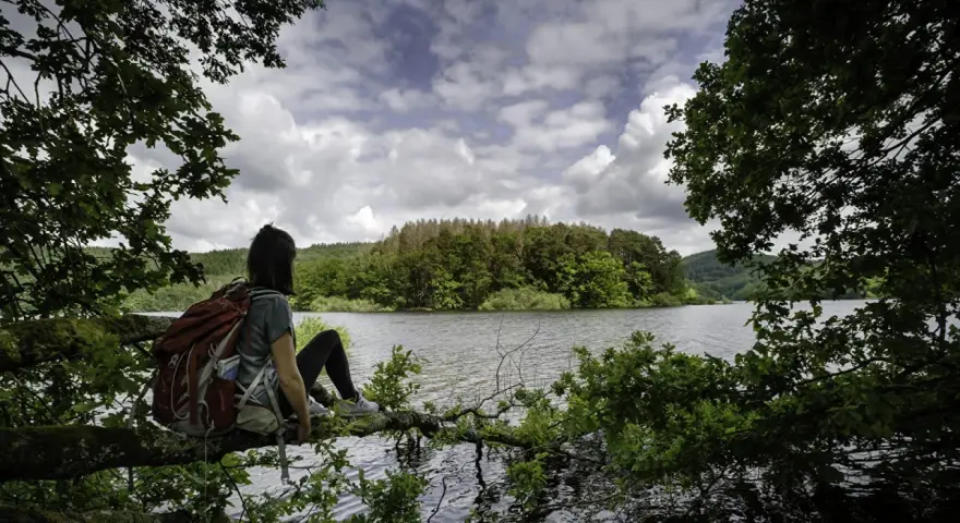 Une randonnée dans le Morvan, une pause sur une branche surplombant le lac. Paysage verdoyant sous un ciel nuageux.