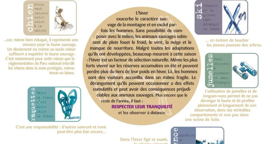 Conseils pour observer la faune en hiver. Ne pas déranger les animaux sauvages, même avec un chien. Respecter leur tranquillité.