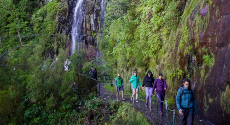 Randonneurs sur un sentier étroit longeant une cascade luxuriante, une expérience typique d'une levada à Madère.