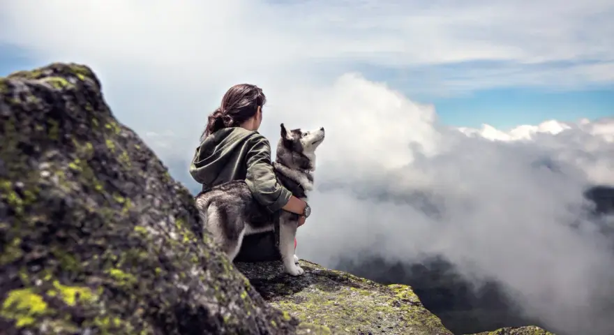 Une femme et son husky profitent d'une vue imprenable sur les nuages lors d'une randonnée.