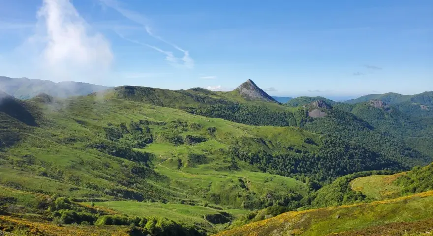 Vastes collines verdoyantes parsemées de fleurs jaunes, dominant la vallée de la Jordanne sous un ciel bleu.