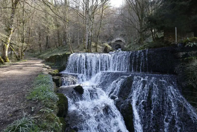 Cascade d'eau dans une forêt, un chemin de terre longe la rivière. Au fond, un tunnel voûté suggère une source d'arcier.